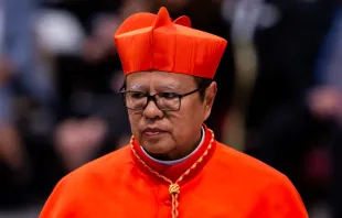 Cardinal Ignatius Suharyo Hardjoatmodjo, archbishop of Jakarta, in St. Peter’s Basilica on Oct. 5, 2019. Credit: Daniel Ibanez/CNA.